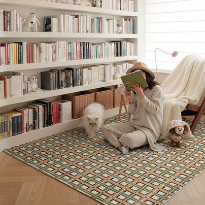 Earth & Vine High-Low Area Rug – Terracotta and Sage Textured Non-Slip Rug