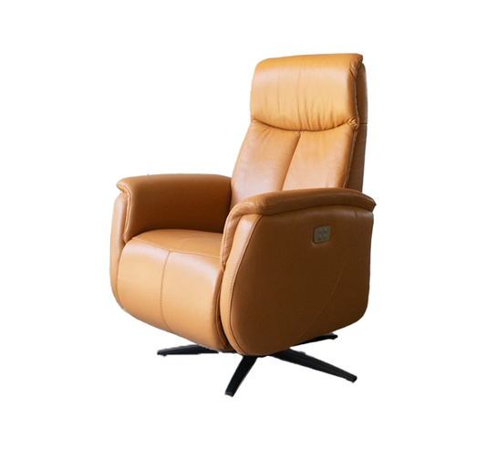 Pepperdine Upholstered Swivel Recliner