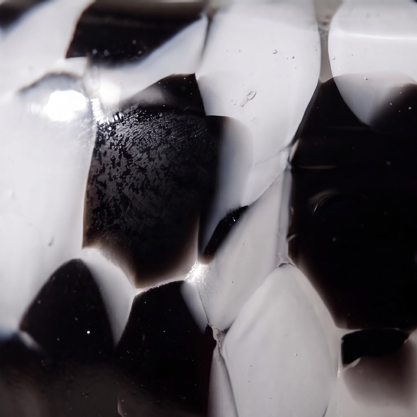Clear Glass Flower Vase – Spotted Texture Decorative Vessel